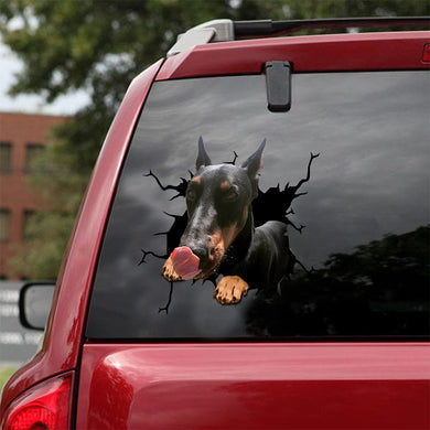 [ld0537-snf-tpa]-doberman-crack-car-sticker-dogs-lover