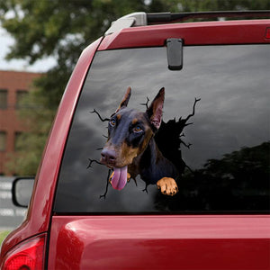 [ld0540-snf-tpa]-doberman-crack-car-sticker-dogs-lover