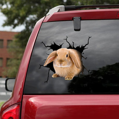 [ld0751-snf-lad]-bunny-crack-car-sticker-bunnys-lover