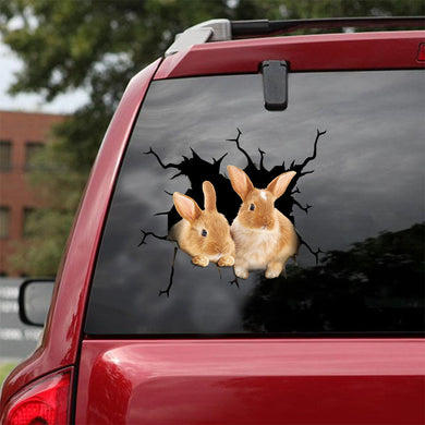 [ld0742-snf-lad]-bunny-crack-car-sticker-bunnys-lover
