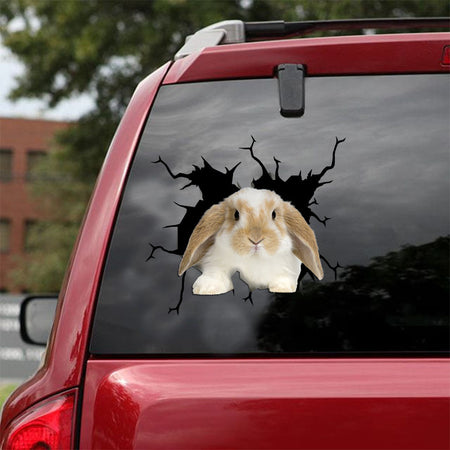 [ld0746-snf-lad]-bunny-crack-car-sticker-bunnys-lover