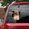 [ld0765-snf-lad]-lhasa-apso-crack-car-sticker-dogs-lover