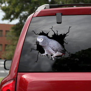 [ld0755-snf-lad]-african-grey-crack-car-sticker-birds-lover