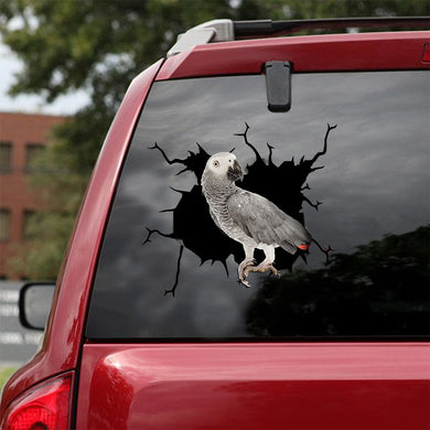 [ld0758-snf-lad]-african-grey-crack-car-sticker-birds-lover