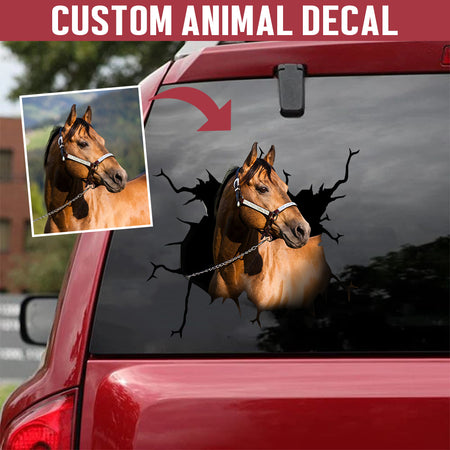 [psl-snf-tnt]-personalized-your-pet-horse-crack-car-sticker-lover