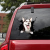 [da0377-snf-tnt]-siberian-husky-crack-car-sticker-dogs-lover