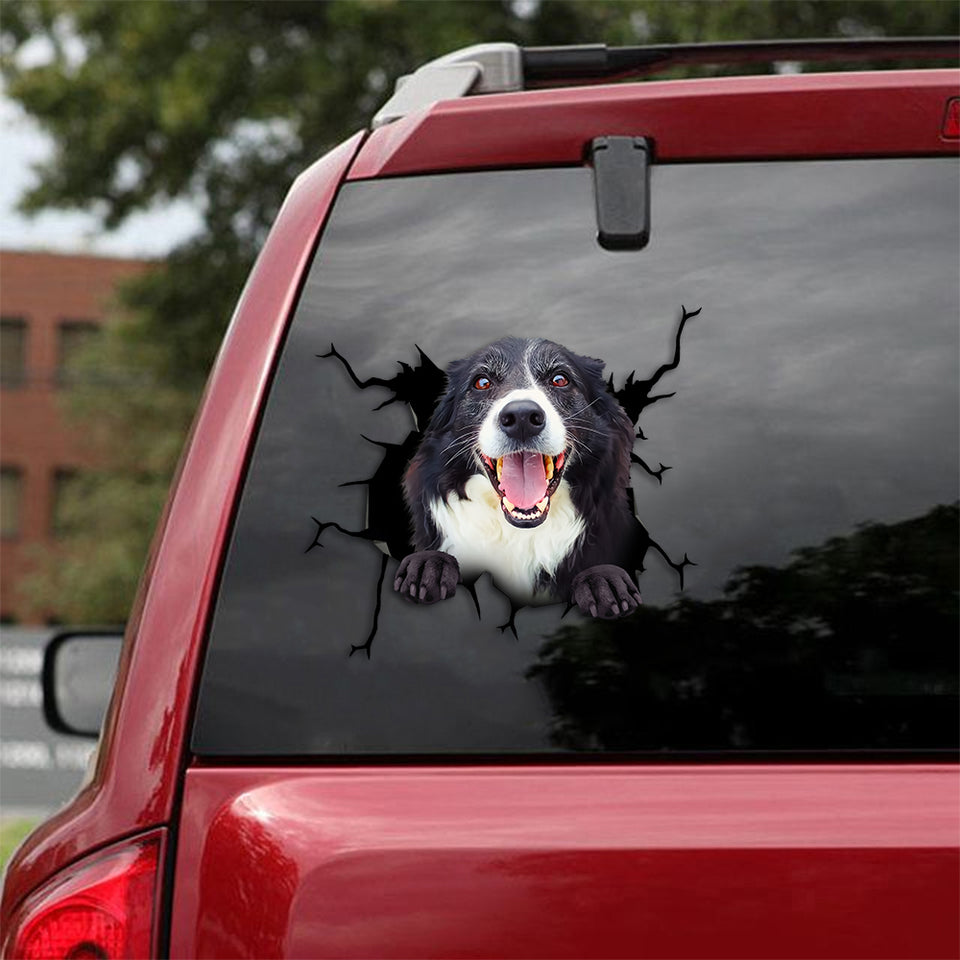 [th0384-snf-tpa]-border-collie-crack-car-sticker-dogs-lover