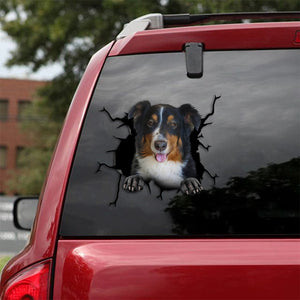 [th0385-snf-tpa]-border-collie-crack-car-sticker-dogs-lover