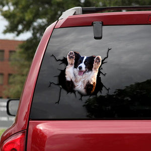 [th0386-snf-tpa]-border-collie-crack-car-sticker-dogs-lover