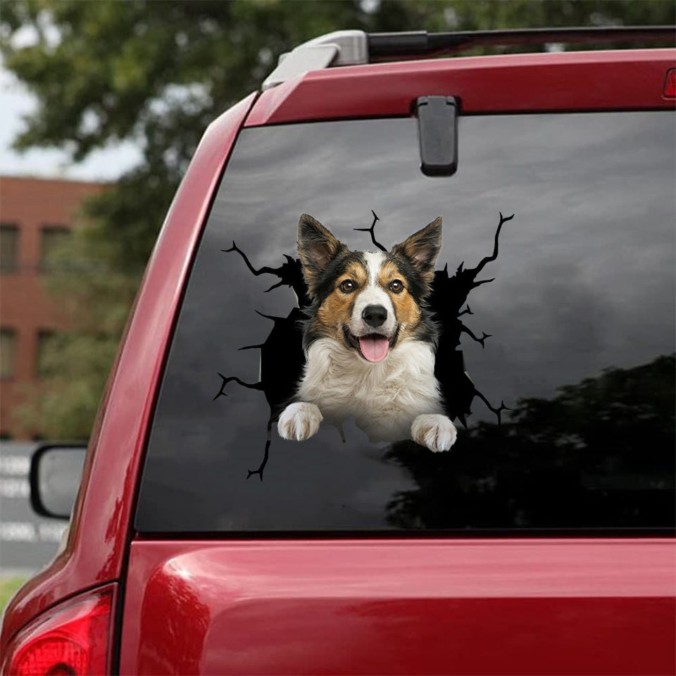 [da0820-snf-tnt]-border-collie-crack-car-sticker-dogs-lover