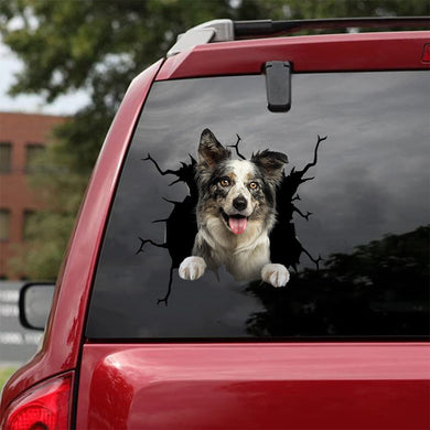 [da0822-snf-tnt]-border-collie-crack-car-sticker-dogs-lover