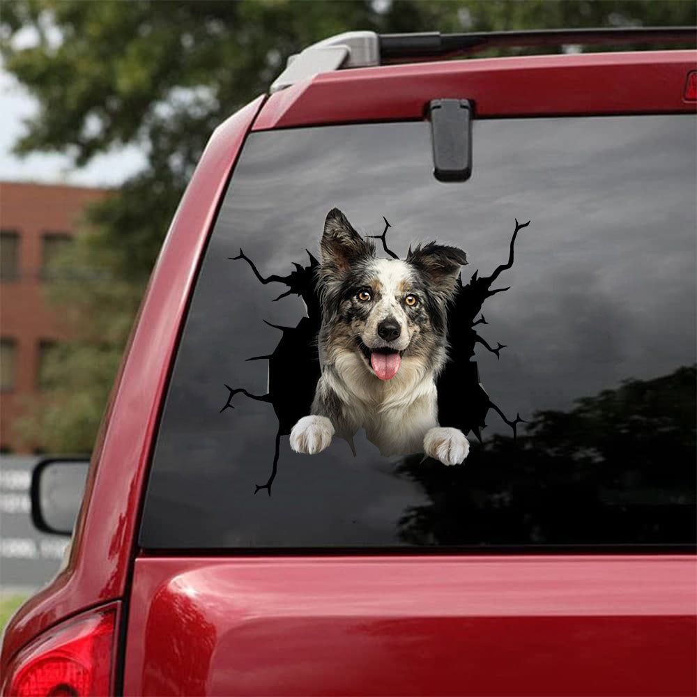 [da0822-snf-tnt]-border-collie-crack-car-sticker-dogs-lover