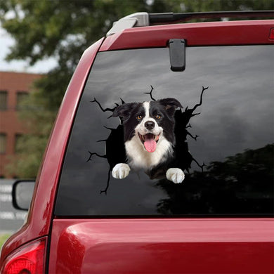 [da0811-snf-tnt]-border-collie-crack-car-sticker-dogs-lover