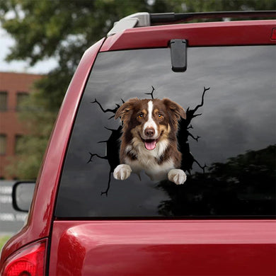 [da0813-snf-tnt]-border-collie-crack-car-sticker-dogs-lover