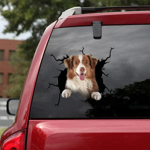 [da0814-snf-tnt]-border-collie-crack-car-sticker-dogs-lover