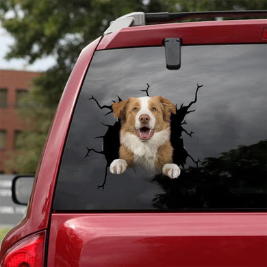 [da0815-snf-tnt]-border-collie-crack-car-sticker-dogs-lover