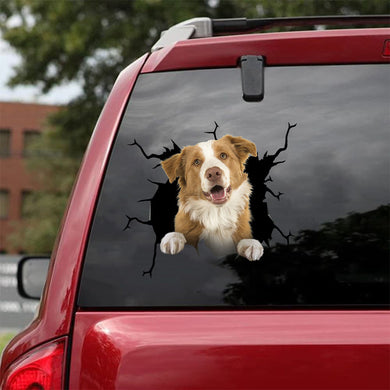 [da0816-snf-tnt]-border-collie-crack-car-sticker-dogs-lover