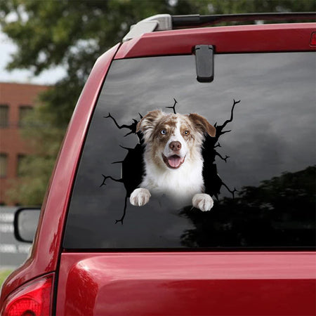 [da0817-snf-tnt]-border-collie-crack-car-sticker-dogs-lover