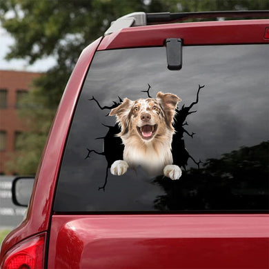 [da0818-snf-tnt]-border-collie-crack-car-sticker-dogs-lover