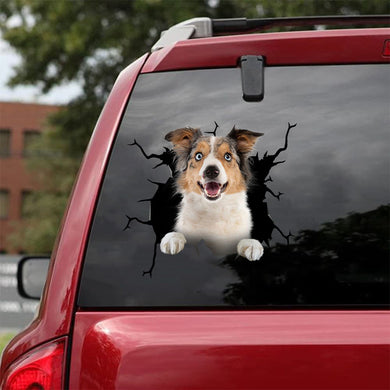 [da0819-snf-tnt]-border-collie-crack-car-sticker-dogs-lover