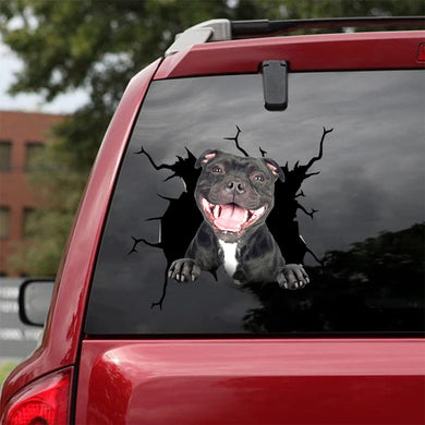 [da0825-snf-tnt]-staffordshire-bull-terrier-crack-car-sticker-dogs-lover