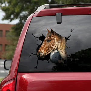 [da0261-snf-tnt]-appaloosa-horse-crack-car-sticker