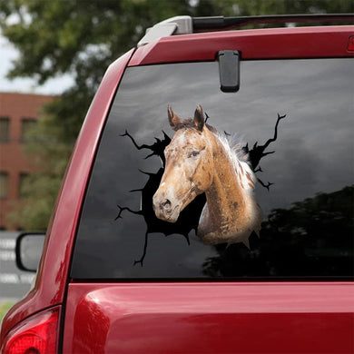 [da0260-snf-tnt]-appaloosa-horse-crack-car-sticker