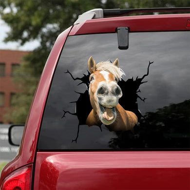 Pony Horse Crack Decal Items Nice Vinyl Stickers For Cars 21st Birthday Gift Ideas