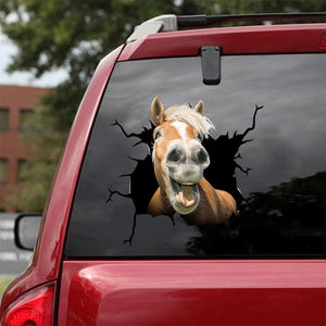 Pony Horse Crack Decal Items Nice Vinyl Stickers For Cars 21st Birthday Gift Ideas