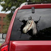 [da0255-snf-tnt]-tennessee-walking-horse-crack-car-sticker