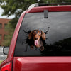 [th0249-snf-tpa]-dachshund-crack-car-sticker-dogs-lover