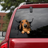 [th0251-snf-tpa]-dachshund-crack-car-sticker-dogs-lover