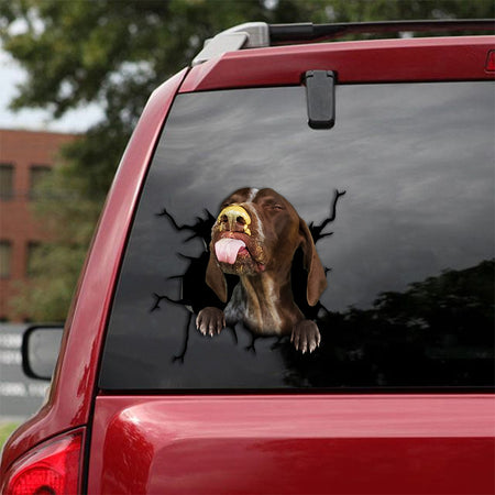 [th0245-snf-tpa]-german-shorthaired-pointer-crack-car-sticker-dogs-lover