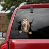 [th0261-snf-tpa]-saluki-crack-car-sticker-dogs-lover