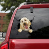 [da0967-snf-tnt]-goldendoodle-crack-car-sticker-dogs-lover