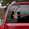 [da1025-snf-tnt]-kangaroo-crack-car-sticker-animals-lover