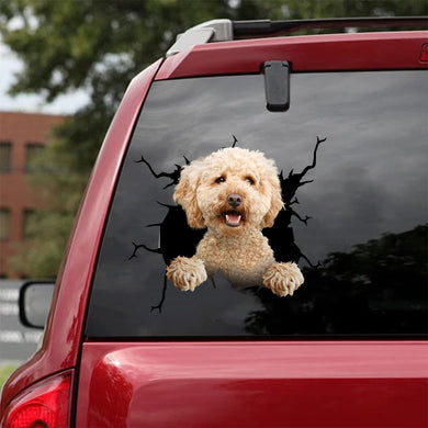 [da1017-snf-tnt]-labradoodle-crack-car-sticker-dogs-lover