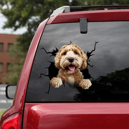 [da1018-snf-tnt]-labradoodle-crack-car-sticker-dogs-lover