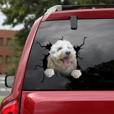 [da1008-snf-tnt]-labradoodle-crack-car-sticker-dogs-lover