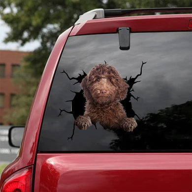 [da1011-snf-tnt]-labradoodle-crack-car-sticker-dogs-lover