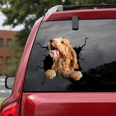 [da1015-snf-tnt]-labradoodle-crack-car-sticker-dogs-lover
