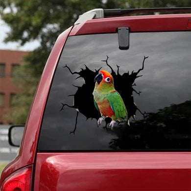 [bv0138-snf-tnt]-gold-cap-conure-crack-car-sticker-birds-lover