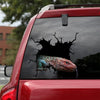 [ld0325-snf-tpa]-caiman-lizard-crack-car-sticker
