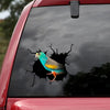 [ld1843-snf-lad]-golden-shouldered-crack-car-sticker-parrot-lovers