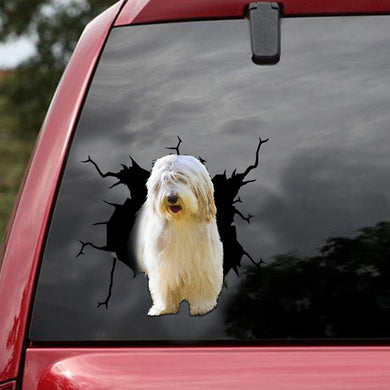 [ld1848-snf-lad]-bearded-collie-crack-car-sticker-dog-lovers