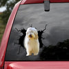 [ld1848-snf-lad]-bearded-collie-crack-car-sticker-dog-lovers