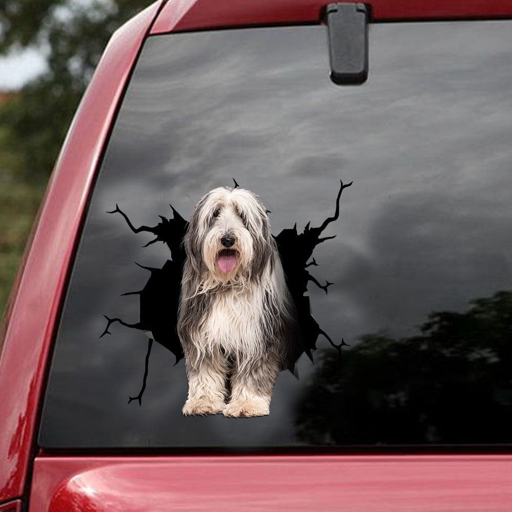 [ld1851-snf-lad]-bearded-collie-crack-car-sticker-dog-lovers