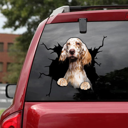 [da0110-snf-tnt]-irish-setter-crack-car-sticker-dogs-lover