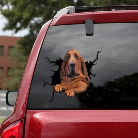 [th0277-snf-tpa]-bloodhound-crack-car-sticker-dogs-lover