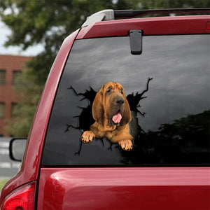 [th0279-snf-tpa]-bloodhound-crack-car-sticker-dogs-lover